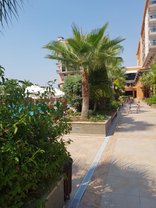 Gartenanlage Dizalya Palm Garden