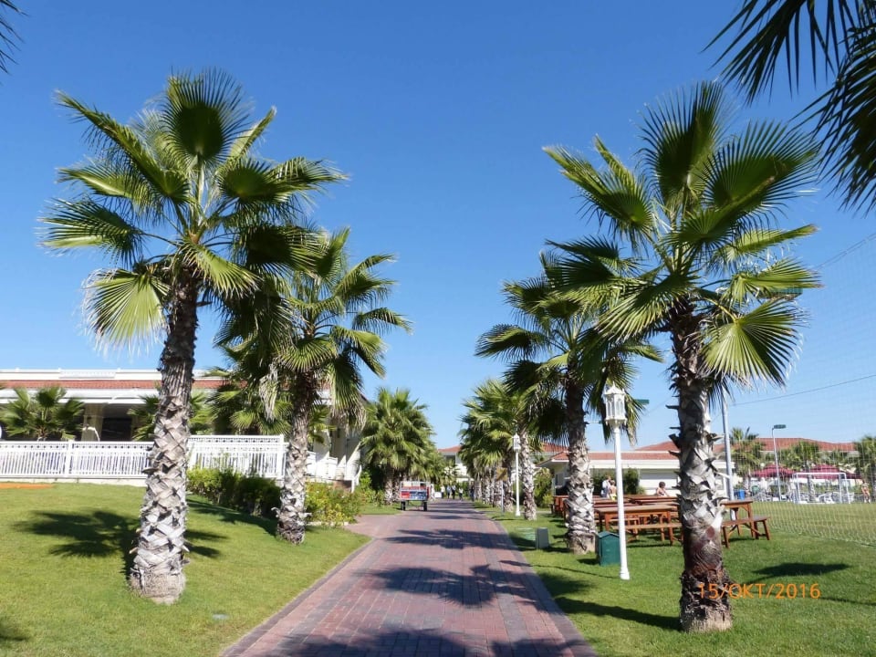 Auf dem Weg vom Strand Güral Premier Belek