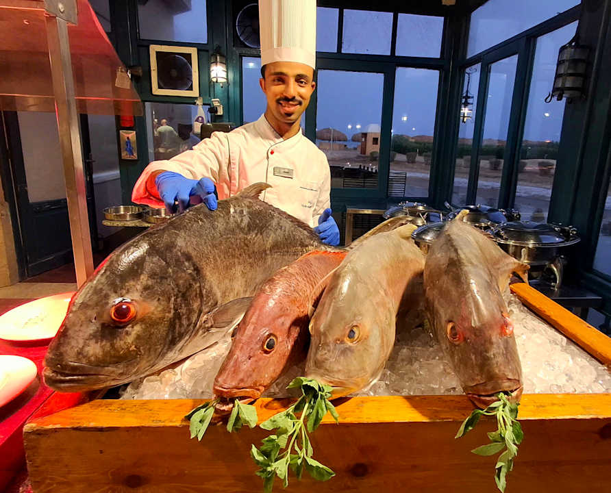 Gastro Club Paradisio El Gouna, Red Sea