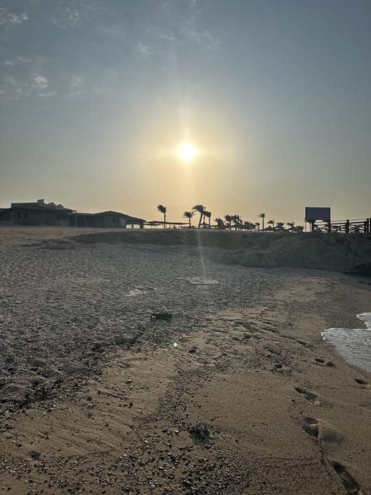 Strand Steigenberger Resort Alaya Marsa Alam - Red Sea - Adults only