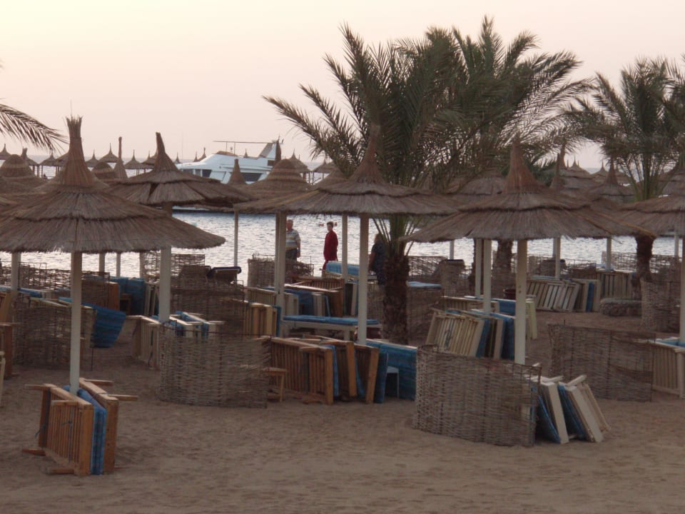 Strandliegen Beach Albatros Resort