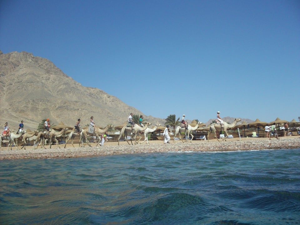 Hotelová pláž Happy Life Village