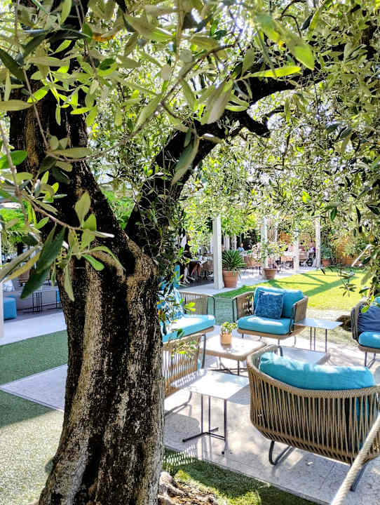 Gartenanlage Hotel Baia Azzurra