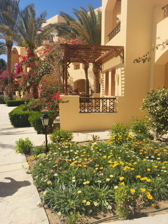 Garten Steigenberger Coraya Beach - Adults only