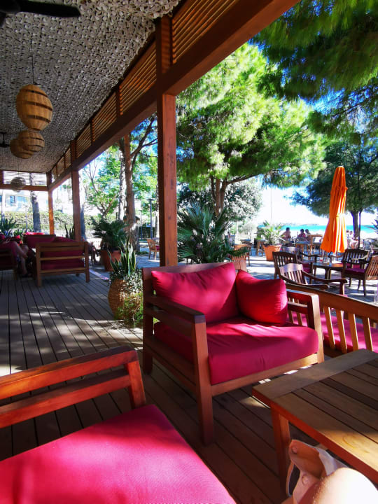 Gastro Arum Barut Collection