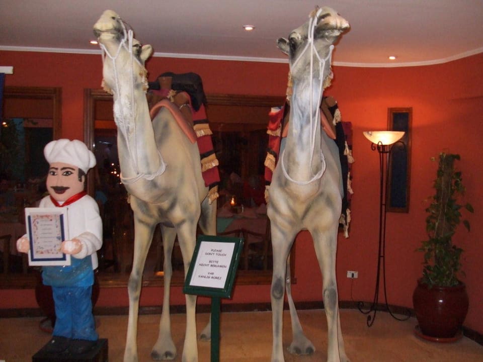 Vor dem Hauptrestaurant Giftun Azur Resort