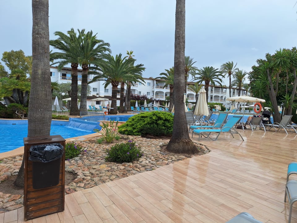 Pool Alcudia Garden Aparthotel