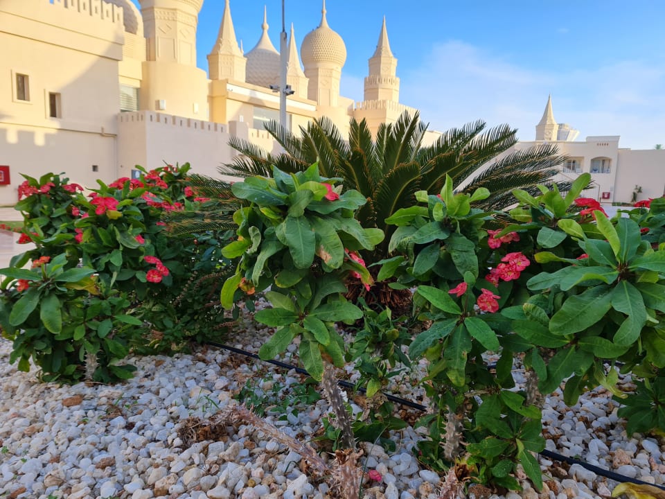 Außenansicht Pickalbatros Aqua Blu Resort - Sharm El Sheikh