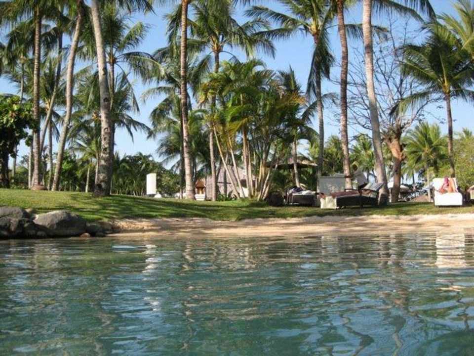 Blick vom Pool in Anlage The Laguna A Luxury Collection Resort & Spa