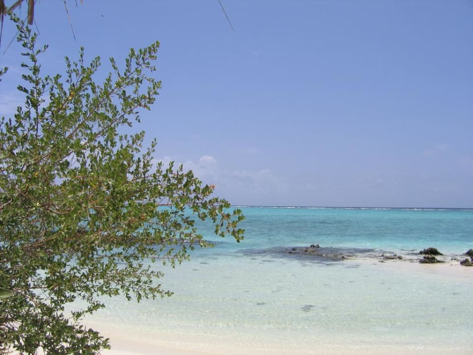 Strand Summer Island Maldives