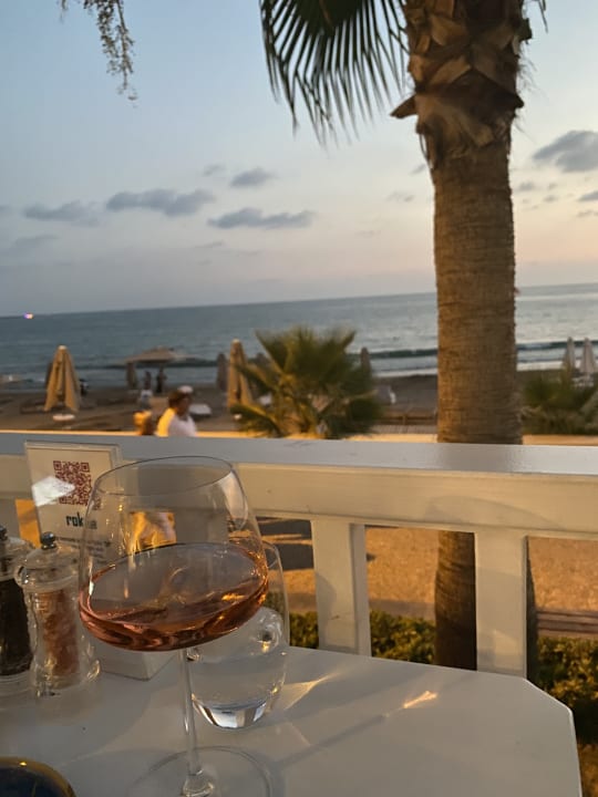 Gastro Acanthus Cennet Barut Collection