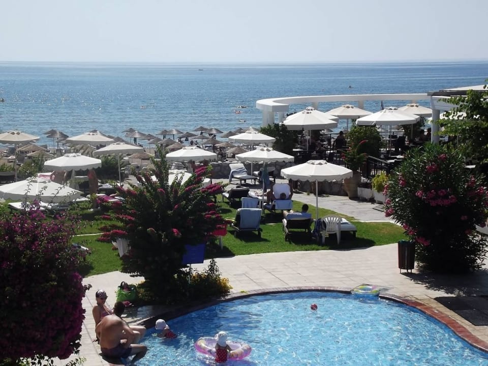 Meerblick Hotel Calypso Beach