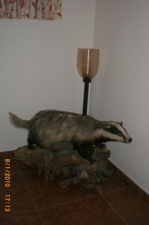 Liebevolle Treppenhaus-Deko Hotel Bergzeit by seven