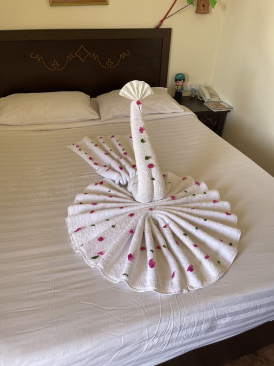 Zimmer Three Corners Sea Beach Resort