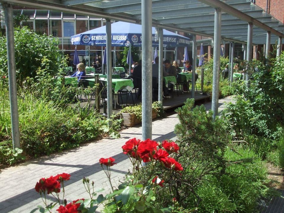 Biergarten vom Hotel Gustav-Stresemann-Institut GSI Hotel Bonn