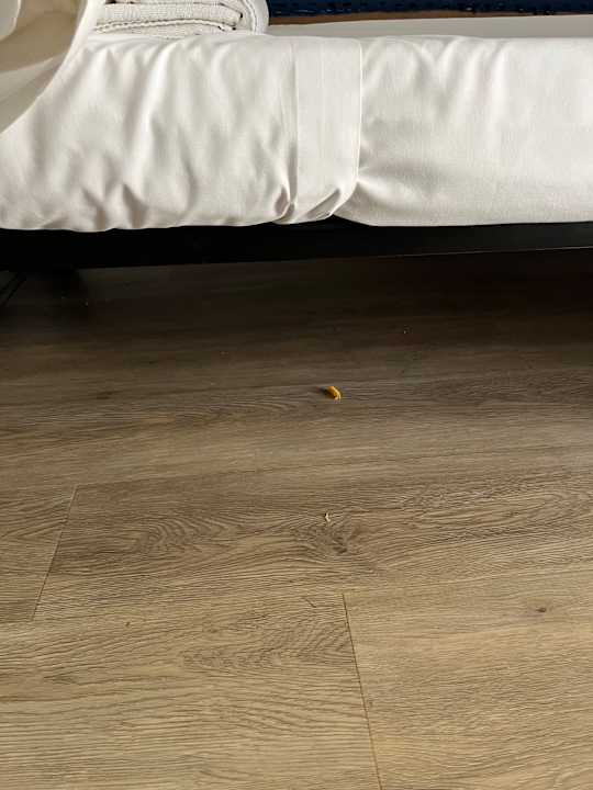 Zimmer Jutlandia Apartments