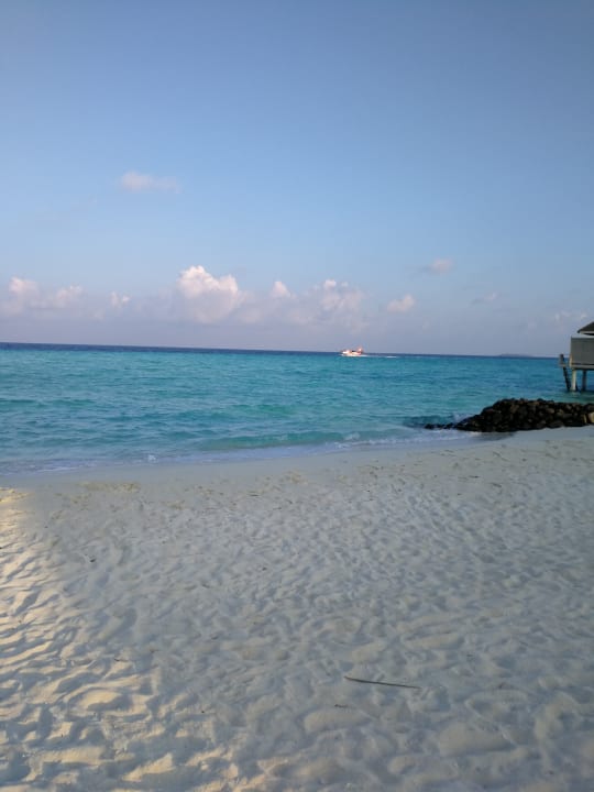 Strand Summer Island Maldives