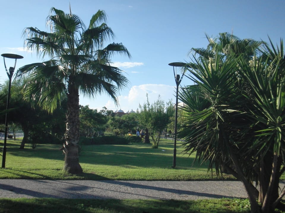 Weg vom Shuttle zum Strand Palm World Side Resort & Spa