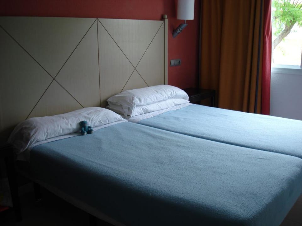 Zimmer blau punta reina