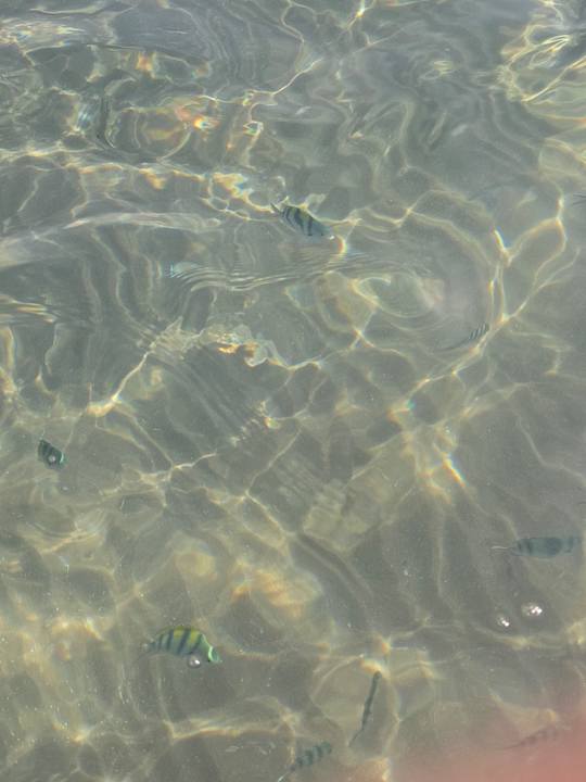 Strand Titanic Royal