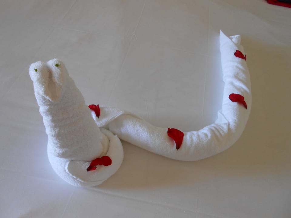 Kreative Zimmerreinigung Malikia Resort Abu Dabbab