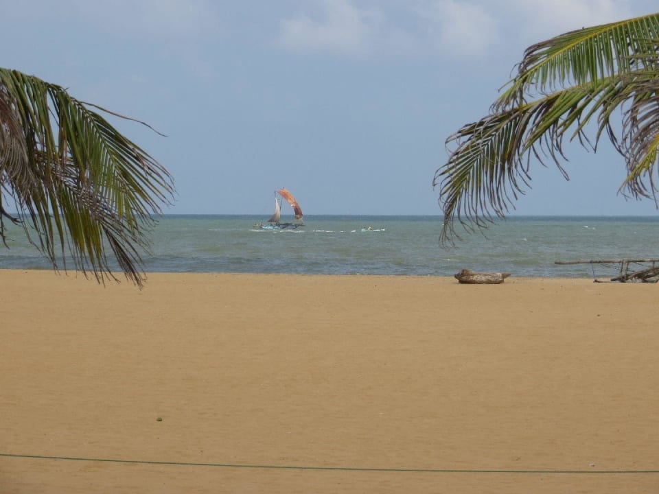 Siehe selbst Goldi Sands Hotel