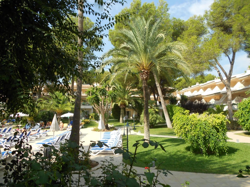Blick von der Terrasse in den Garten Iberostar Waves Pinos Park