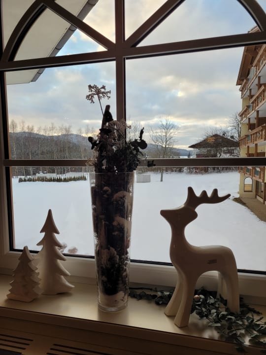 Ausblick Hotel Mooshof