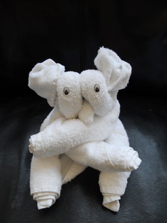 Little Koala Odessos Park Hotel