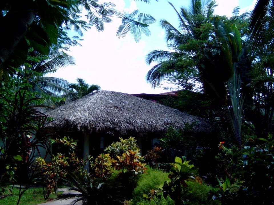 Bar Casa Phönix Annex Isla Verde