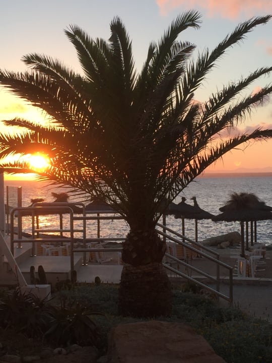 Pool Universal Hotel Cabo Blanco - Adults Only