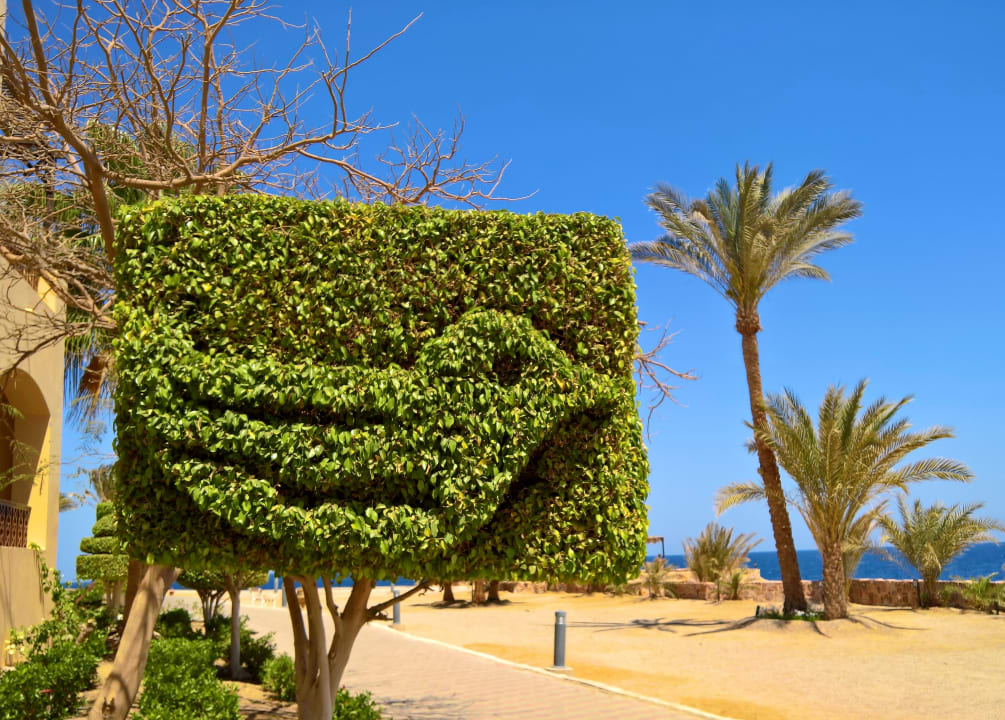 Gartenanlage Steigenberger Coraya Beach - Adults only