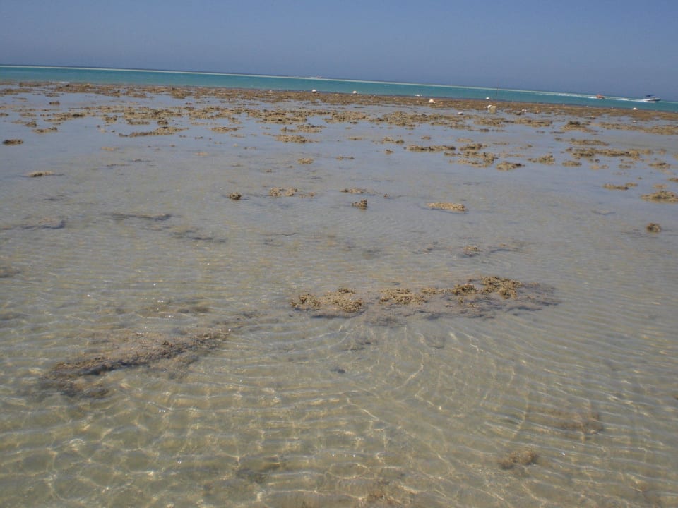 Viele Steine im Meer Le Jardin Aqua Park Resort