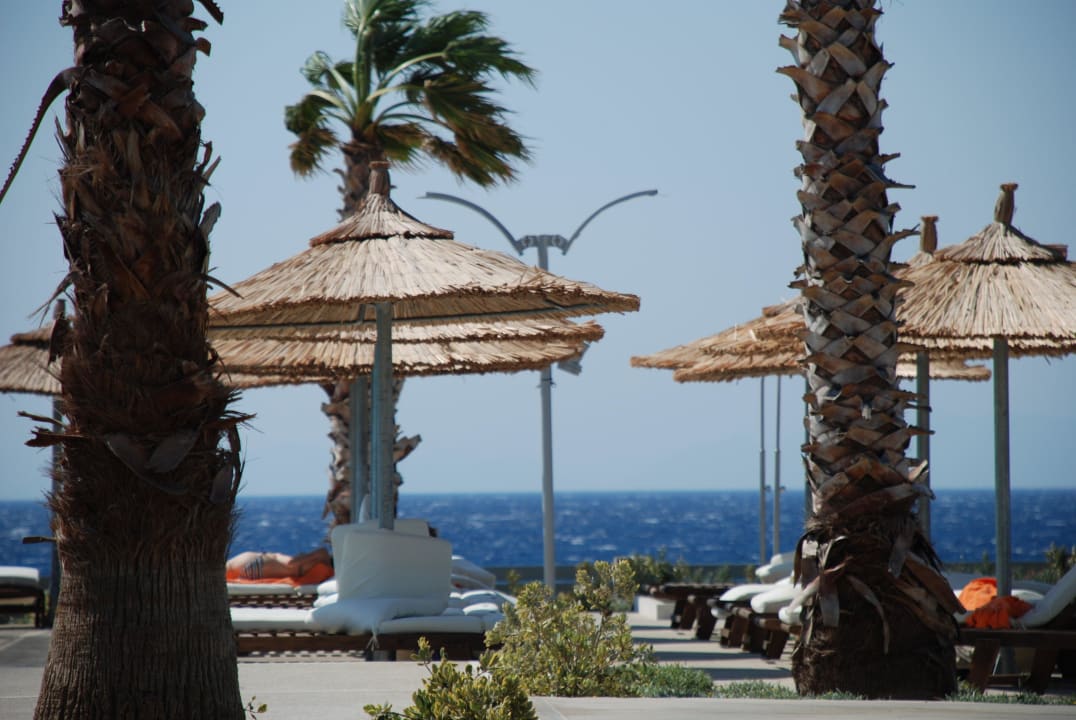 Genügend Sonnenschirme und Liegen mit Auflagen Akti Palace Resort & Spa