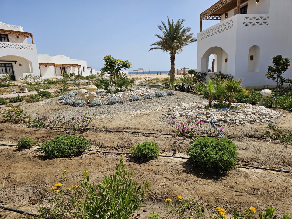 Gartenanlage Beach Safari Nubian Resort