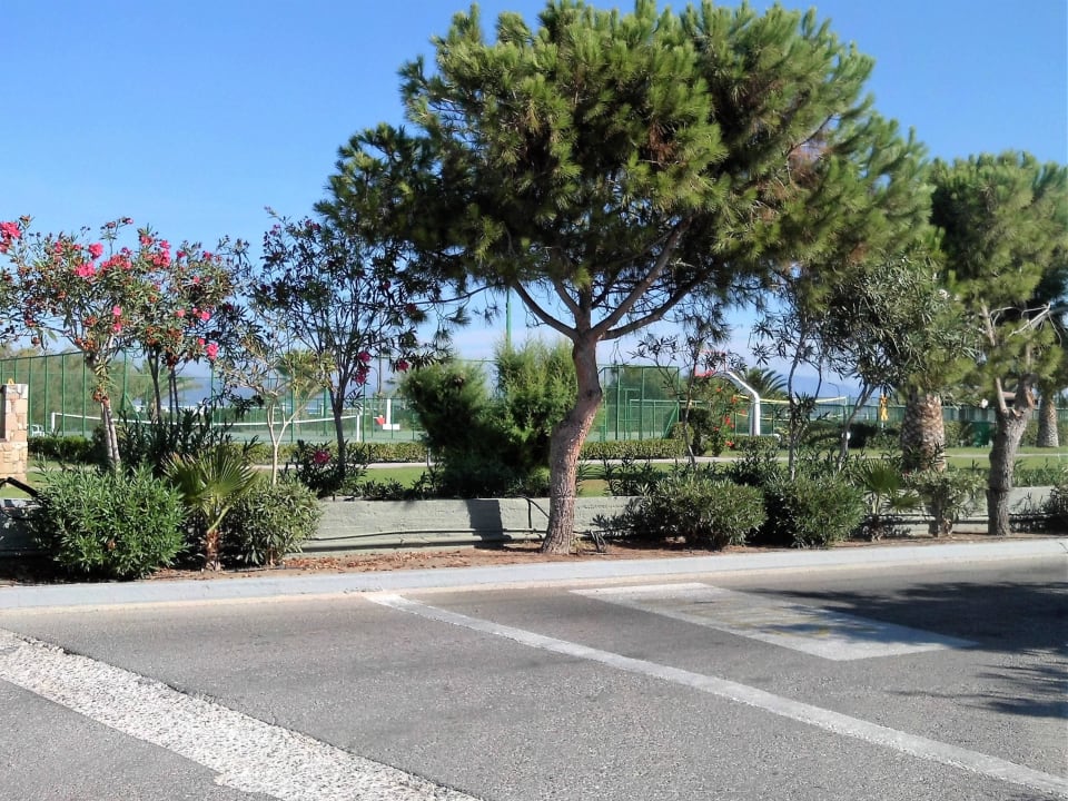 Basketball- und Tennisplatz Kipriotis Village Resort