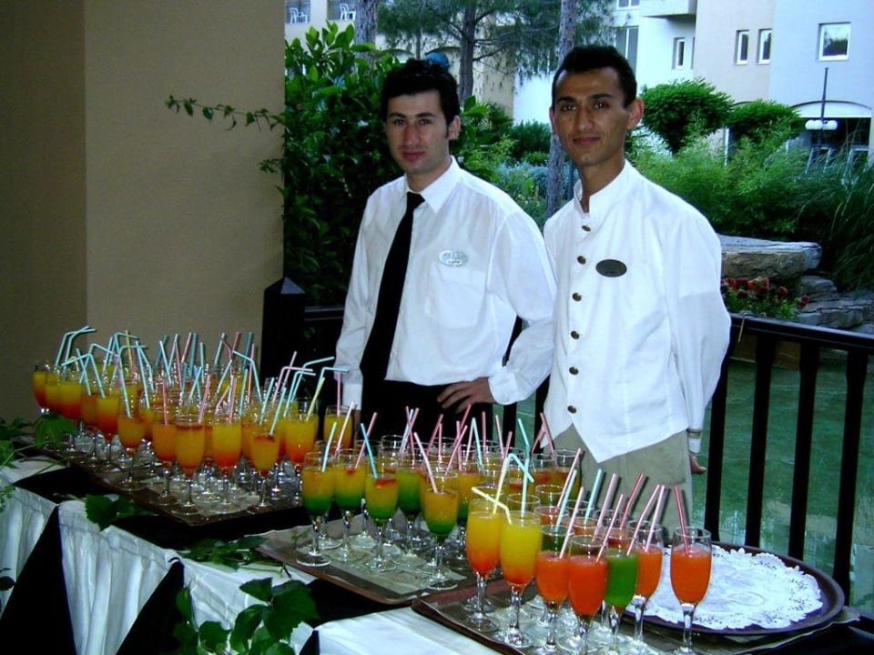 Empfang der Gäste beim Galaabend Papillon Ayscha