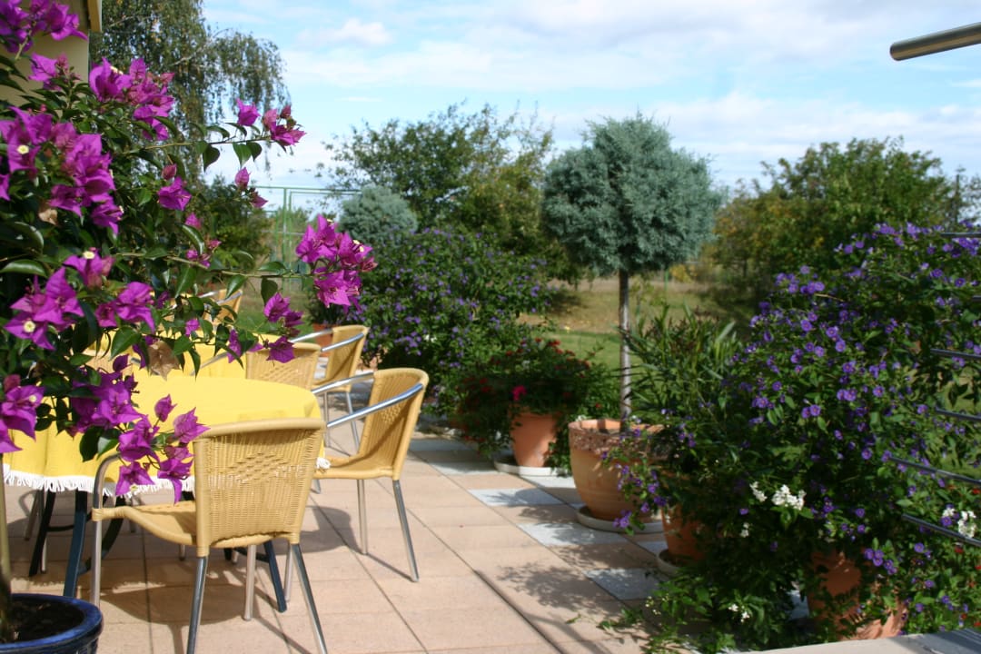 Gartenanlage Pension Das Mittelpunkt