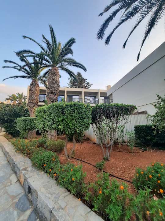 Ausblick allsun Hotel Malia Beach