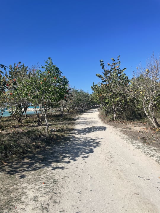 Gartenanlage Iberostar Coral Holguín