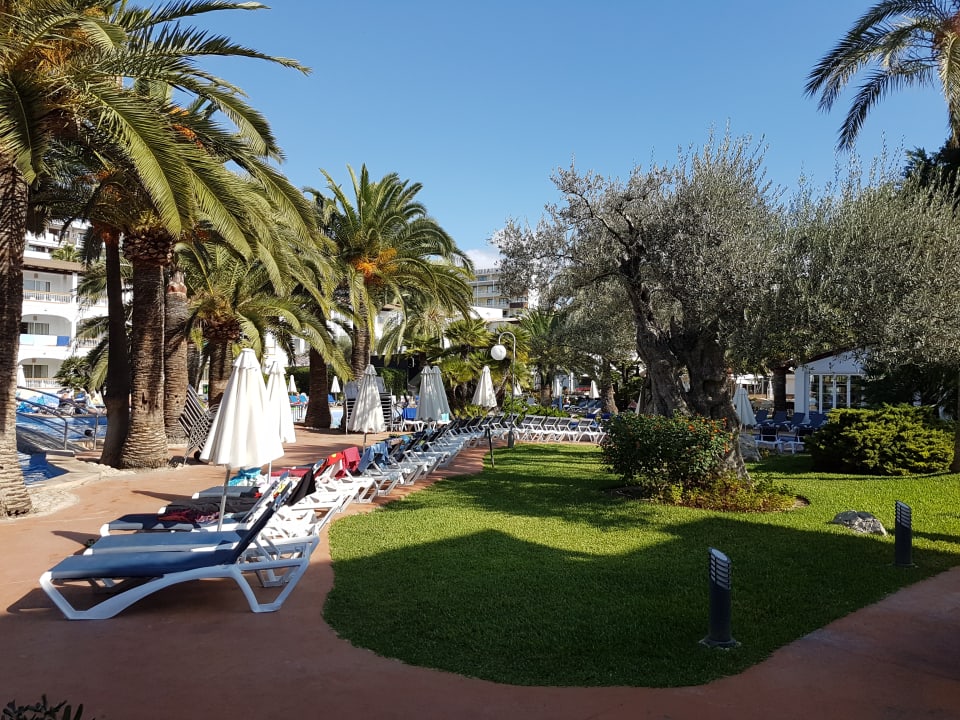 Pool Alcudia Garden Aparthotel