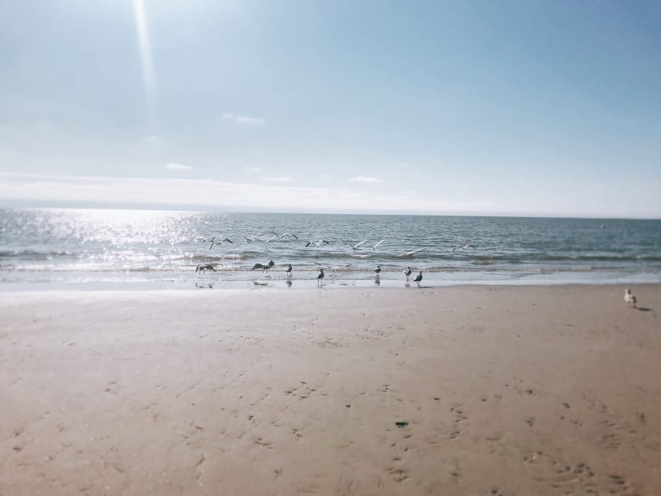 Strand Beach Motel St. Peter-Ording