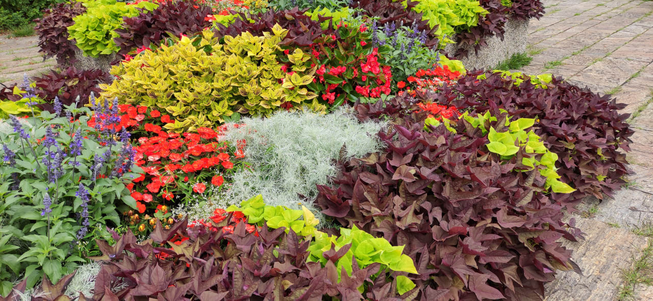 Gartenanlage Das Seepark Wörthersee Resort