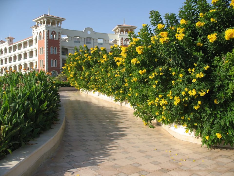 Einfach nur schön! Baron Palace Sahl Hasheesh