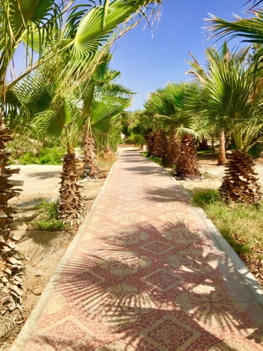 Gartenanlage Hotel Mangrove Bay Resort