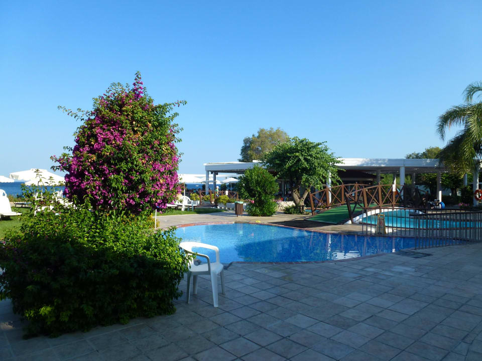 Sehr schöner Pool Hotel Calypso Beach