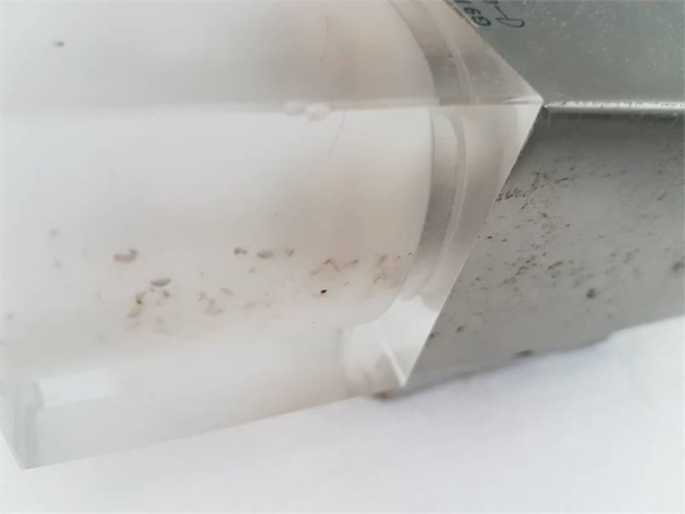 Mold even in the light The Front Hotel