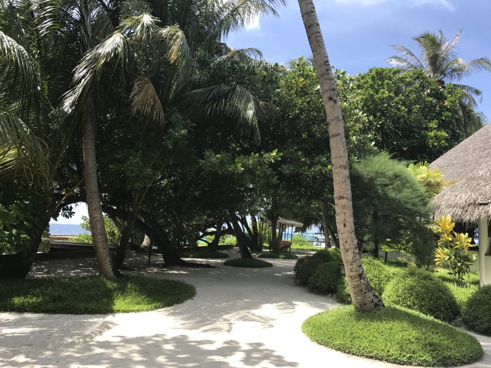 Gartenanlage Fihalhohi Maldives