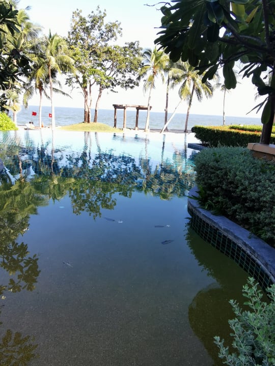 Pool Mövenpick Asara Resort & Spa Hua Hin