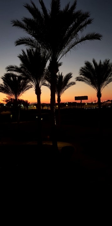 Sonstiges Jaz Solaya